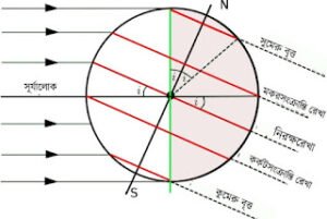 class 6 model activity task part 8 1